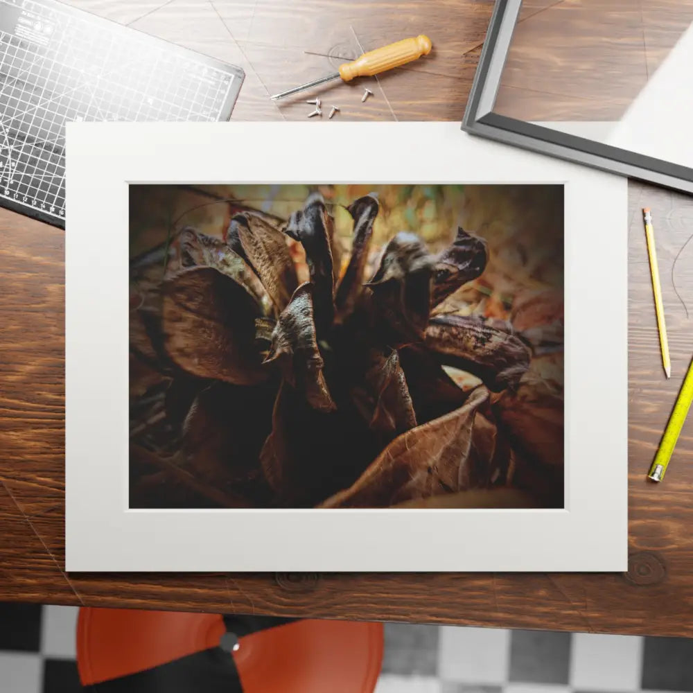 The Forest’s Heart Home Decor