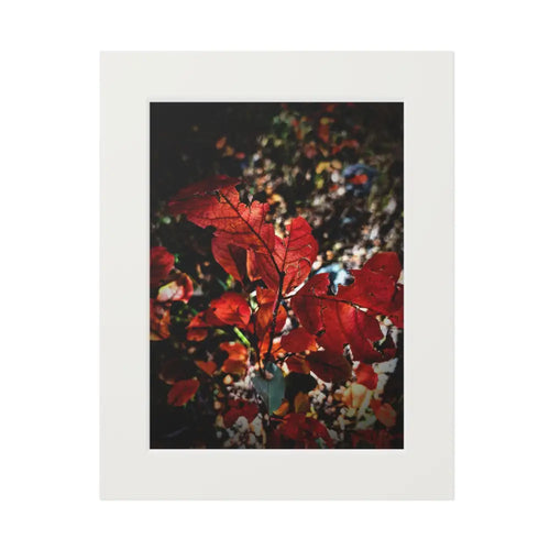 Autumn’s Fire 11″ x 14″ (Vertical) / White Home Decor