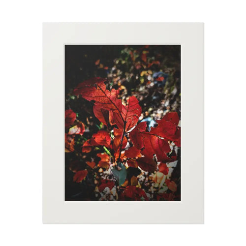 Autumn’s Fire 16’’ x 20’’ (Vertical) / White Home Decor
