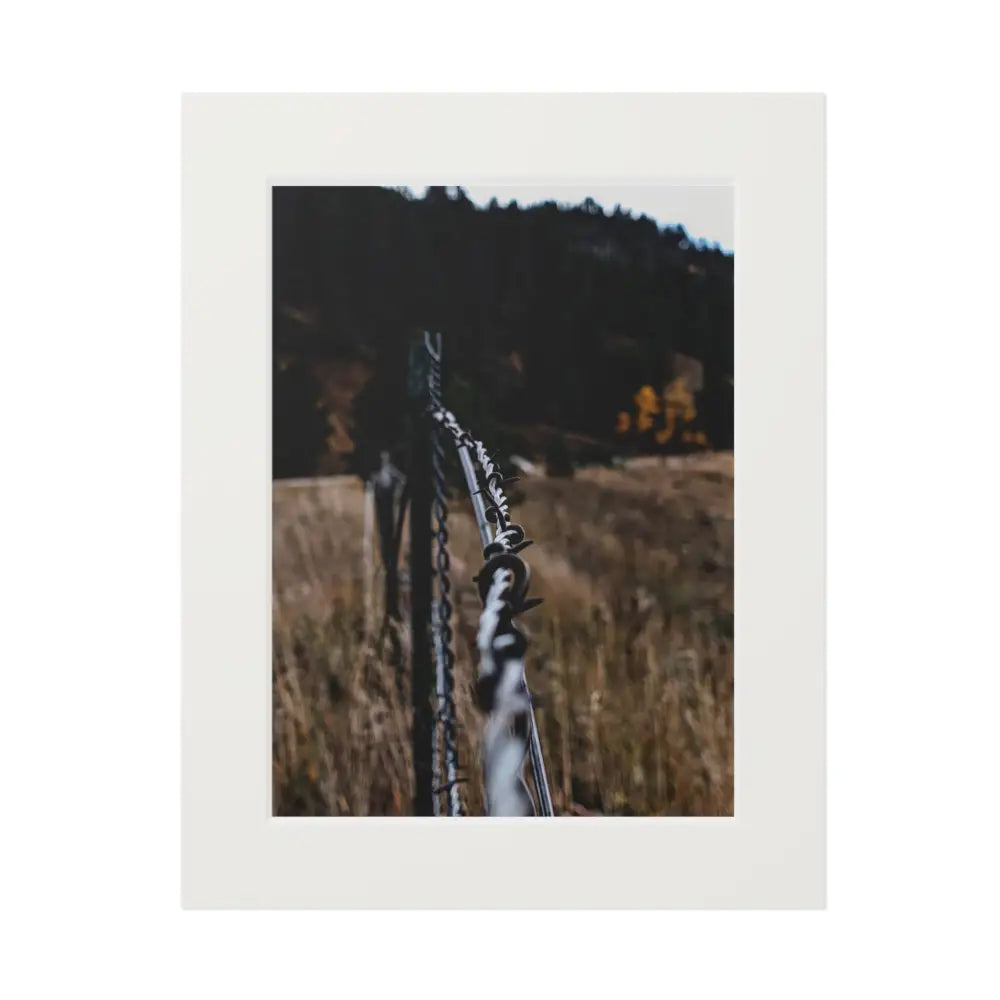 Golden Fence Photography Print | Rustic Landscape Art 11″ x 14″ (Vertical) / White Print