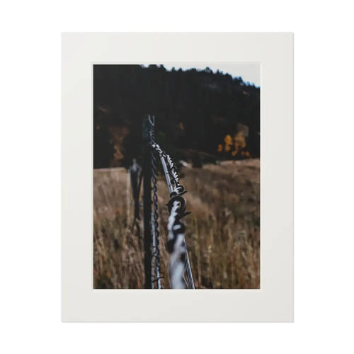 Golden Fence Photography Print | Rustic Landscape Art 16’’ x 20’’ (Vertical) / White Print