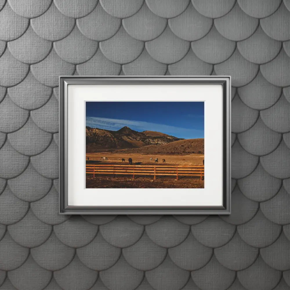 Herd of Horses Photography Print | Wildlife Landscape Art Home Decor