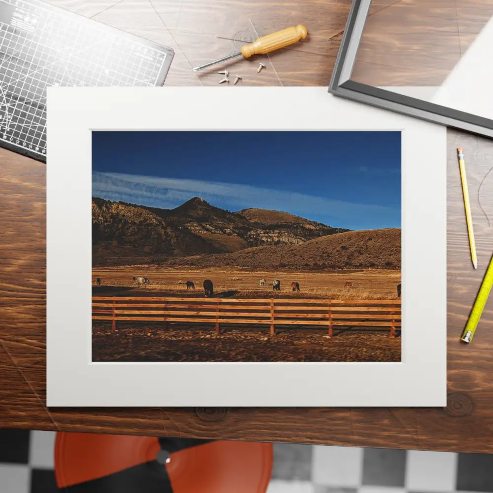 Herd of Horses Photography Print | Wildlife Landscape Art Home Decor