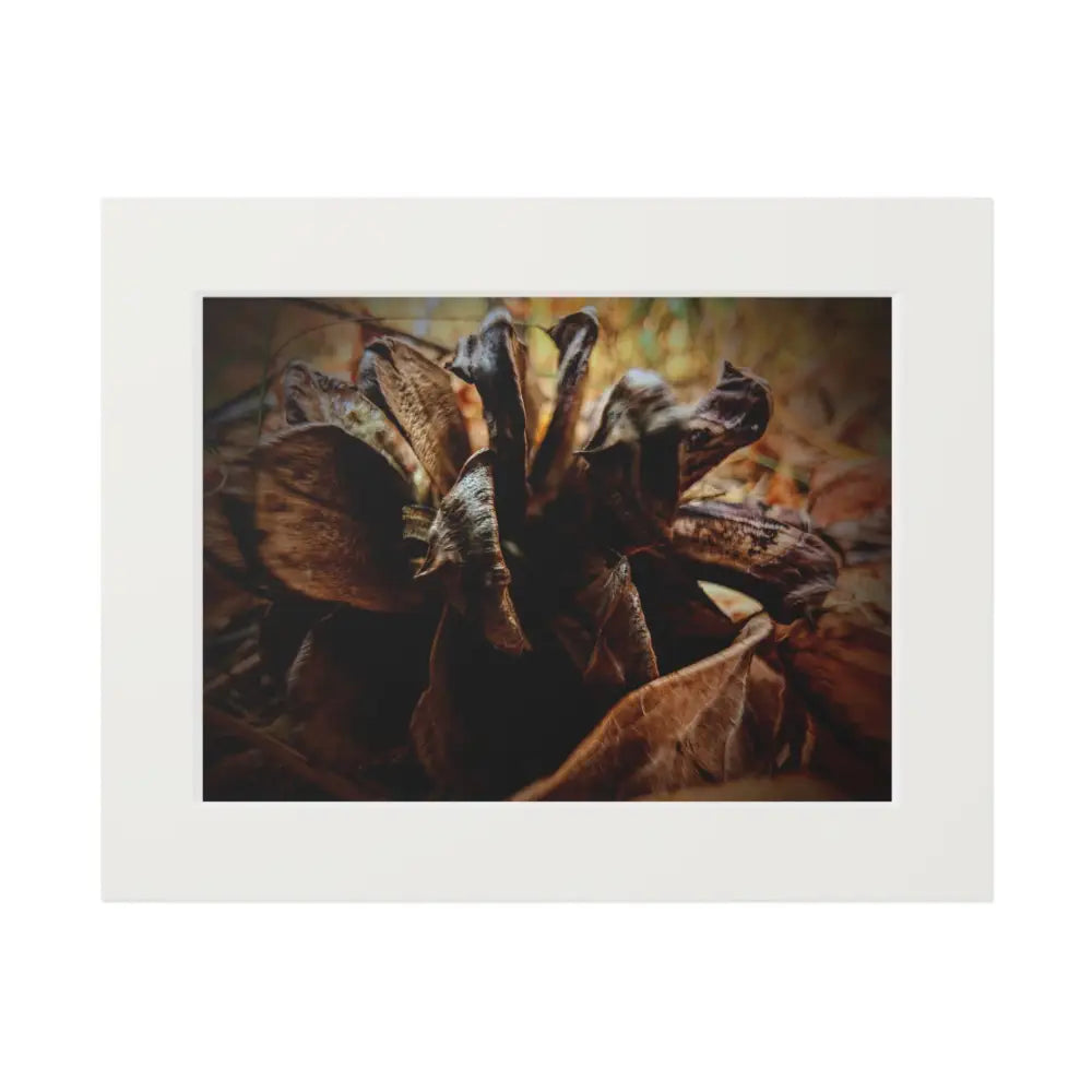 The Forest’s Heart 14″ x 11″ (Horizontal) / White Home Decor