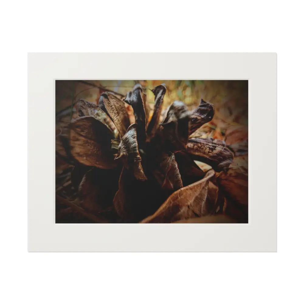 The Forest’s Heart 20’’ x 16’’ (Horizontal) / White Home Decor