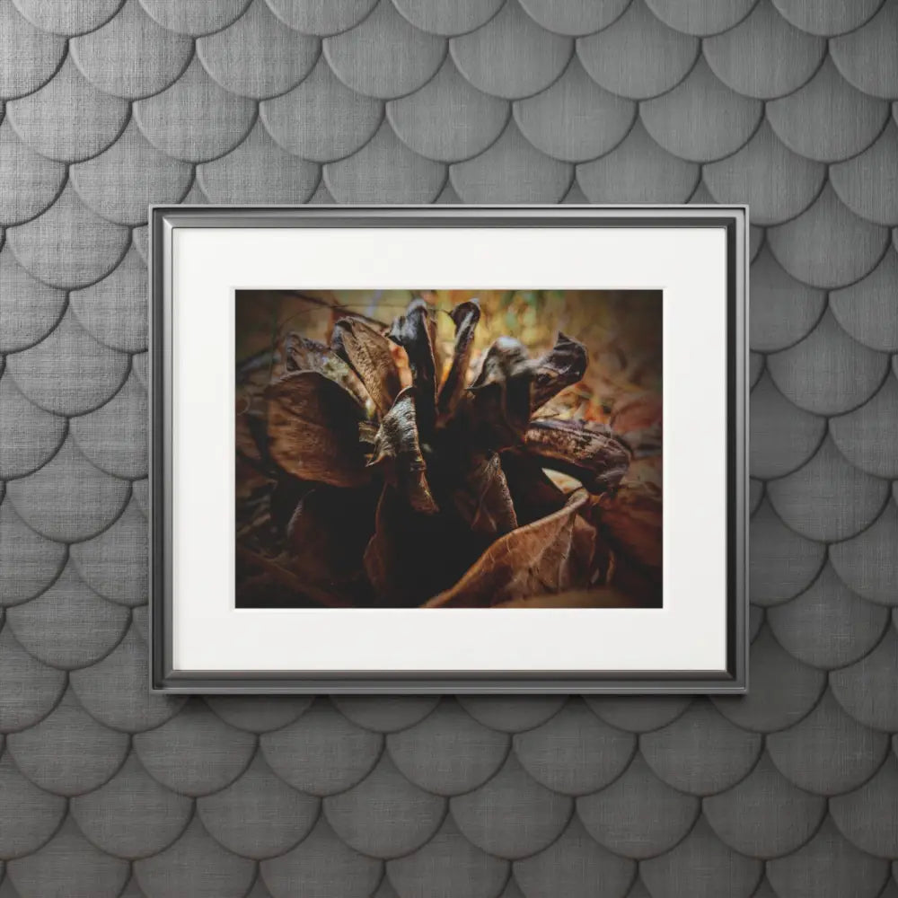 The Forest’s Heart Home Decor
