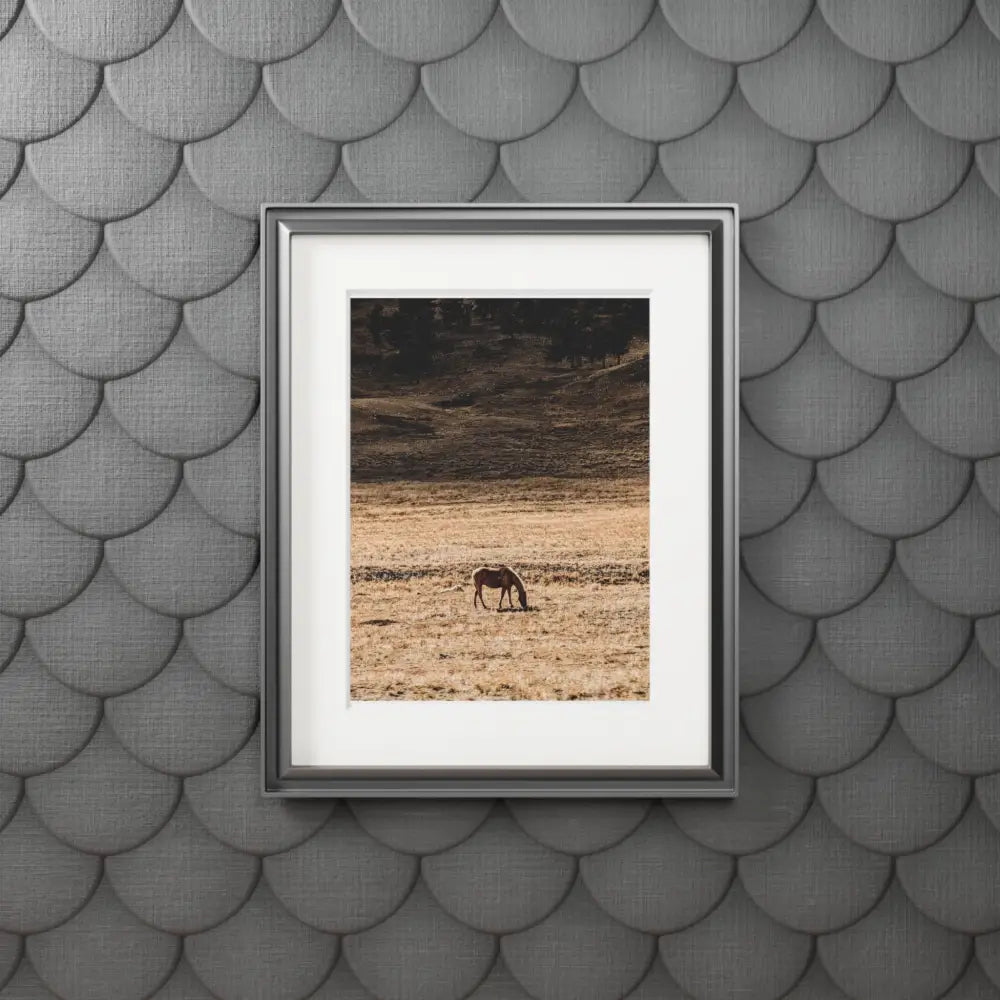 Wild Horse Photography Print | Mountain Wildlife Art Print